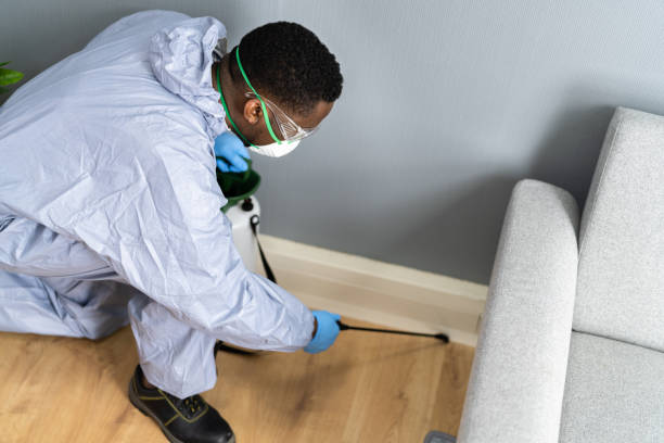 Best Pest Prevention Services  in Pine Island, TX